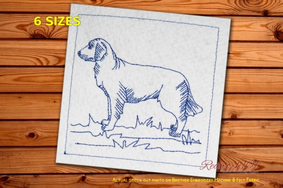 Golden Retriever Dog – An Embroidery Designer’s Review